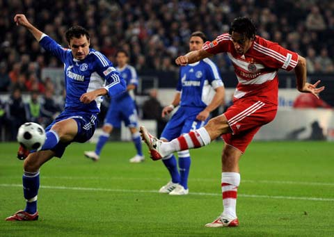 提供了支持 提供了支持